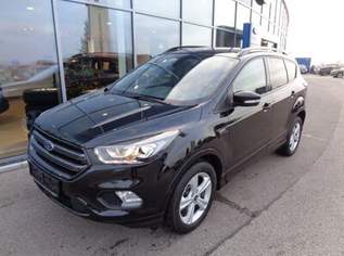 Kuga ST-Line 120PS Diesel, 16900 €, Auto & Fahrrad-Autos in 4786 Brunnenthal