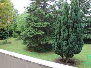 Fein – Klein – Mein! Leben und Wohnen in Baden!, 599.25 €, Immobilien-Wohnungen in 2500 Gemeinde Baden