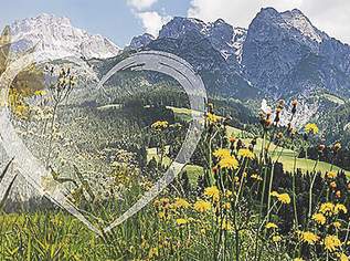 Start in den Sommer..! null