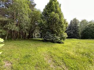 Ihre Gelegenheit! Grundstück in Traumlage mit Waldbestand!, 370000 €, Immobilien-Grund und Boden in 2812 Gemeinde Hollenthon