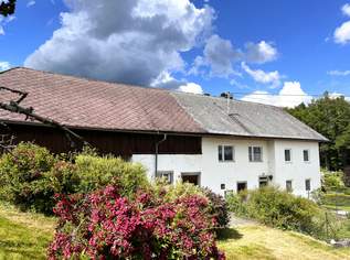 Charmantes Sacherl mit Ausblick, 250000 €, Immobilien-Häuser in 4160 Aigen im Mühlkreis