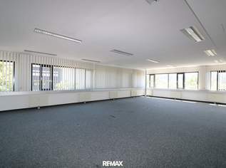 Großzügige Bürofläche in attraktiver Lage von Wels, 7389.75 €, Immobilien-Gewerbeobjekte in 4600 Wels Großzügige Bürofläche in attraktiver Lage von Wels, 7389.75 €, Immobilien-Gewerbeobjekte in 4600 Wels