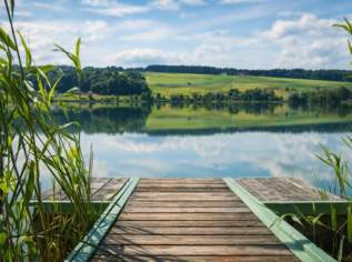 Traumhaftes Badegrundstück am Ostufer des Obertrumer Sees mit Steg!, 349000 €, Immobilien-Grund und Boden in 5163 Mattsee