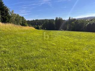 Preisreduktion! PERFEKTE KOMBINATION: ORTSNÄHE & ABSOLUTE RUHE, 65 €, Immobilien-Grund und Boden in 4092 Esternberg