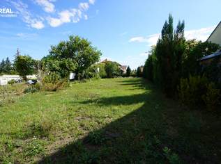 Rarität - Geldanlage ohne Bauzwang - Ihr Traumgrundstück in Bestlage wartet auf Sie, 180000 €, Immobilien-Grund und Boden in 2020 Magersdorf Rarität - Geldanlage ohne Bauzwang - Ihr Traumgrundstück in Bestlage wartet auf Sie, 180000 €, Immobilien-Grund und Boden in 2020 Magersdorf