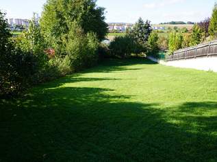 Mehrparteien-/Generationenhaus im direkten Zentrum (3 Wohneinheiten), 349000 €, Immobilien-Häuser in 3580 Gemeinde Horn