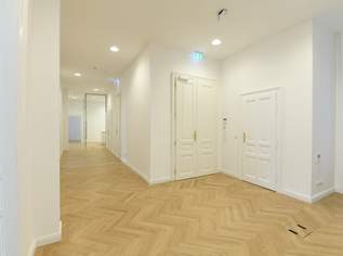 Modernes Büro mit 236,45 m² in repräsentativem Gebäude – sofort bezugsfertig, 5736.43 €, Immobilien-Gewerbeobjekte in 1010 Innere Stadt