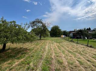 Baugrund in Altenmarkt bei Fürstenfeld - ruhig, eben, sonnig, kein Bauzwang, € 56, -/ m² (Provisionsfrei), 79520 €, Immobilien-Grund und Boden in 8280 Altenmarkt bei Fürstenfeld