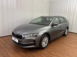 Octavia Selection TDI, 36990 €, Auto & Fahrrad-Autos in 6441 Gemeinde Umhausen