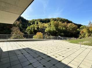 branchenfreies Geschäftslokal am Wiener Stadtrand – perfekt für Ihre Ideen! | ZELLMANN IMMOBILIEN, 1995 €, Immobilien-Gewerbeobjekte in 1230 Liesing
