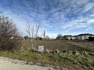 Baugrund in schöner Lage zu verkaufen, 199000 €, Immobilien-Grund und Boden in 7202 Gemeinde Bad Sauerbrunn Baugrund in schöner Lage zu verkaufen, 199000 €, Immobilien-Grund und Boden in 7202 Gemeinde Bad Sauerbrunn