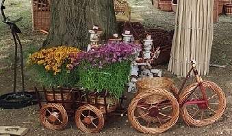 Weiden-Blumentopf - Traktor groß