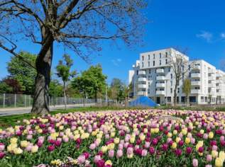 Blumengarten Hirschstetten: 3-Zimmer-Neubauwohnung mit Balkon!, 848.21 €, Immobilien-Wohnungen in 1220 Donaustadt