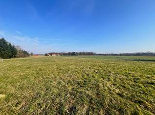 Leistbares, ebenes, sonniges Baugrundstück mit guter Anbindung!, 48000 €, Immobilien-Grund und Boden in 8263 Radersdorf