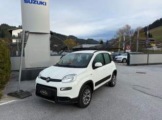 Panda TwinAir Turbo 85 4x4 Wild *AHV*, 10950 €, Auto & Fahrrad-Autos in 8654 Fischbach Panda TwinAir Turbo 85 4x4 Wild *AHV*, 10950 €, Auto & Fahrrad-Autos in 8654 Fischbach