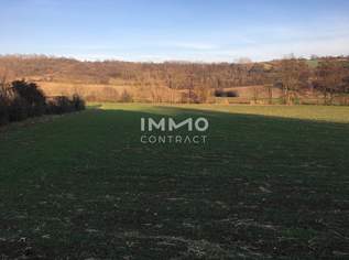 Verwirklichen Sie Ihr Traumhaus, 0 €, Immobilien-Grund und Boden in 2123 Unterolberndorf Verwirklichen Sie Ihr Traumhaus, 0 €, Immobilien-Grund und Boden in 2123 Unterolberndorf