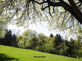 Agrar- und Forstflächen mit naturschutzrechtlichen Einschränkungen, 73800 €, Immobilien-Grund und Boden in 6700 Stadt Bludenz Agrar- und Forstflächen mit naturschutzrechtlichen Einschränkungen, 73800 €, Immobilien-Grund und Boden in 6700 Stadt Bludenz