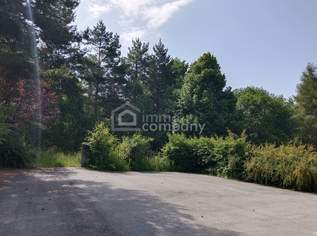 Großes Grundstück mit Waldbestand, 185000 €, Immobilien-Grund und Boden in 2812 Gemeinde Hollenthon