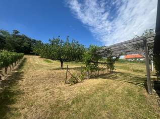 Charmantes Kellerstöckl in sonniger Ruhelage mit Aussicht – mitten im Weingebirge von Rechnitz Charmantes Kellerstöckl in sonniger Ruhelage mit Aussicht – mitten im Weingebirge von Rechnitz