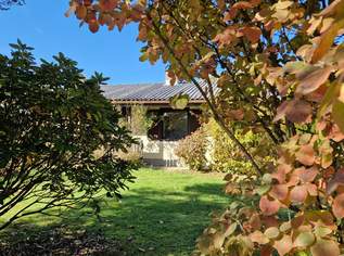 Rohdiamant - Ferienhaus mit großem Grundstück in beliebter Thermen & Golfregion, 89000 €, Immobilien-Häuser in 8280 Fürstenfeld