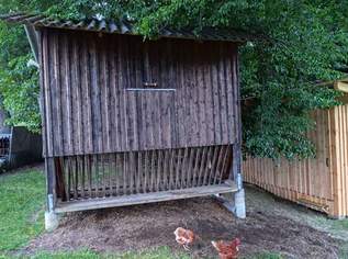 Futterhütte für Großtiere, 450 €, Haus, Bau, Garten-Hausbau & Werkzeug in 8341 Paldau Futterhütte für Großtiere, 450 €, Haus, Bau, Garten-Hausbau & Werkzeug in 8341 Paldau