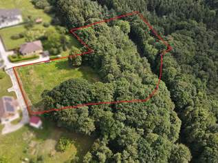 Idyllisches Grundstück am Ende einer Sackgasse – sonniger Bauplatz mit eigenem Wald, 169000 €, Immobilien-Grund und Boden in 8274 Buch-Sankt Magdalena Idyllisches Grundstück am Ende einer Sackgasse – sonniger Bauplatz mit eigenem Wald, 169000 €, Immobilien-Grund und Boden in 8274 Buch-Sankt Magdalena