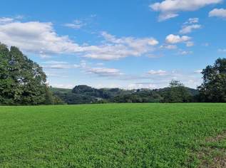 Großes Grundstück für Bauträger, Thermenprojekt oder Sport- und . Raum für Ihre Vision, 290000 €, Immobilien-Grund und Boden in 8380 Grieselstein