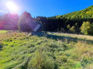 Großzügiges Baugrundstück in Reichraming, 187920 €, Immobilien-Grund und Boden in 4462 Reichraming