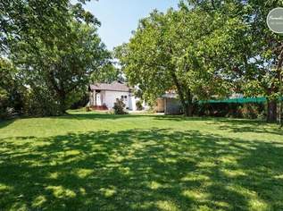 Seewinkel Hideaway - charmanter Bungalow mit Riesengarten, 145000 €, Immobilien-Häuser in 7162 Tadten Seewinkel Hideaway - charmanter Bungalow mit Riesengarten, 145000 €, Immobilien-Häuser in 7162 Tadten
