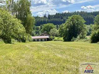 Seltene Gelegenheit: Sanierungsbedürftiges Forsthaus mit Pferdestall und großem Grund in Waldrandlage!, 0 €, Immobilien-Grund und Boden in 5211 Lengau Seltene Gelegenheit: Sanierungsbedürftiges Forsthaus mit Pferdestall und großem Grund in Waldrandlage!, 0 €, Immobilien-Grund und Boden in 5211 Lengau