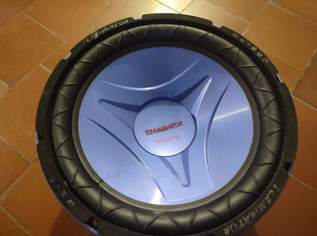 Terminator Subwoofer 800Watt