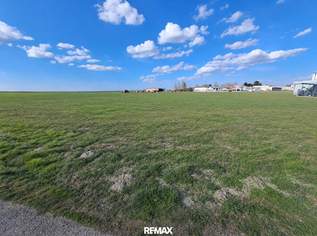 BAUGRÜNDE! Zwischen 580 m² und 716 m², 149000 €, Immobilien-Grund und Boden in 2452 Gemeinde Mannersdorf am Leithagebirge BAUGRÜNDE! Zwischen 580 m² und 716 m², 149000 €, Immobilien-Grund und Boden in 2452 Gemeinde Mannersdorf am Leithagebirge