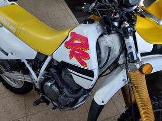 Motocrossmaschine, 2900 €, Auto & Fahrrad-Motorräder in 2225 Gemeinde Zistersdorf Motocrossmaschine, 2900 €, Auto & Fahrrad-Motorräder in 2225 Gemeinde Zistersdorf