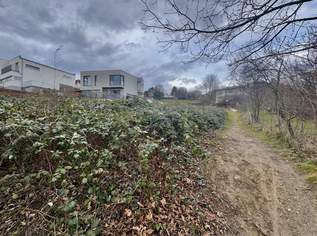 BAUGRUNDSTÜCK AM ÖLBERG KLOSTERNEUBURG - TEILBAR AUF 2 GRUNDSTÜCKE, 1495000 €, Immobilien-Grund und Boden in 3400 Gemeinde Klosterneuburg BAUGRUNDSTÜCK AM ÖLBERG KLOSTERNEUBURG - TEILBAR AUF 2 GRUNDSTÜCKE, 1495000 €, Immobilien-Grund und Boden in 3400 Gemeinde Klosterneuburg