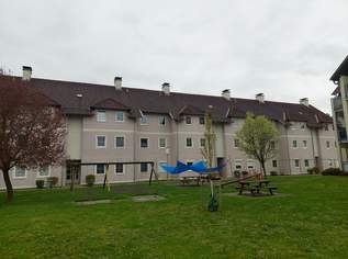 Loosdorf, 3 Zimmer, 70 m² / 00390 00193, 512 €, Immobilien-Wohnungen in 3382 Loosdorf