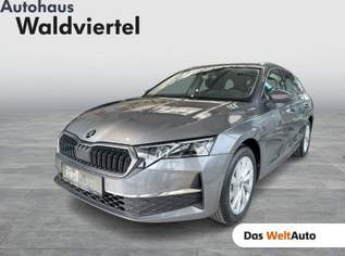 Octavia Selection TSI mHEV DSG, 36450 €, Auto & Fahrrad-Autos in 3580 Gemeinde Horn Octavia Selection TSI mHEV DSG, 36450 €, Auto & Fahrrad-Autos in 3580 Gemeinde Horn