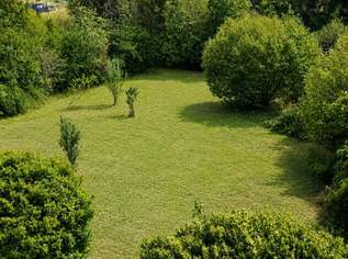 "Großzügiger Baugrund mit viel Privatsphäre – 1.935 m² nahe Tulln", 460000 €, Immobilien-Grund und Boden in 3430 Mollersdorf