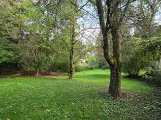 Idylisches Baugrundstück - Verborgen im Zaubertal, 550000 €, Immobilien-Grund und Boden in 4060 Holzheim