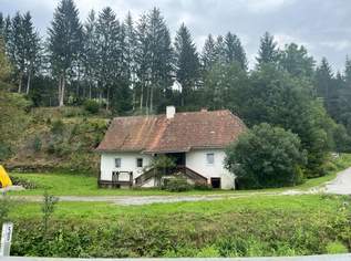 Uriges Bauernhaus in idyllischer Lage mit Wald und Wiesenflächen, 129000 €, Immobilien-Gewerbeobjekte in 8162 Passail