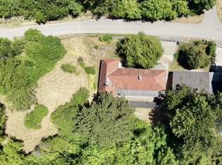 Riesiger Baugrund in Waldrandlage, 490000 €, Immobilien-Grund und Boden in 2551 Enzesfeld
