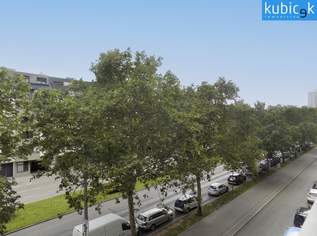 Klimatisierte Nichtraucherwohnung - Nähe Alte Donau/Uno City, 750 €, Immobilien-Wohnungen in 1220 Donaustadt