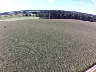 Große Ackerfläche mit guter Anbindung, 0 €, Immobilien-Grund und Boden in 5134 Schwand im Innkreis