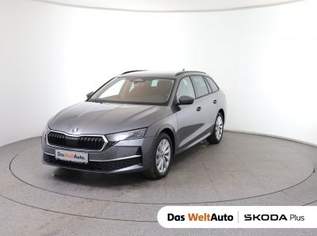 Octavia Selection TDI DSG, 37490 €, Auto & Fahrrad-Autos in 8792 St. Peter-Freienstein