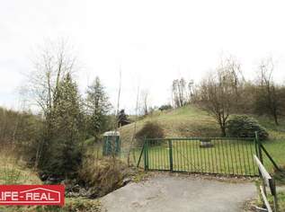 Ruhiger, sonniger Kraftplatz – perfekt zur Selbstversorgung, 59000 €, Immobilien-Gewerbeobjekte in 4232 Hagenberg im Mühlkreis Ruhiger, sonniger Kraftplatz – perfekt zur Selbstversorgung, 59000 €, Immobilien-Gewerbeobjekte in 4232 Hagenberg im Mühlkreis