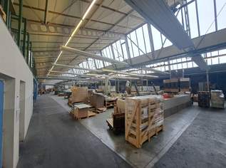A2 Baden: Effiziente Lagerhalle, 5300 €, Immobilien-Gewerbeobjekte in 2512 Katastralgemeinde Tribuswinkel A2 Baden: Effiziente Lagerhalle, 5300 €, Immobilien-Gewerbeobjekte in 2512 Katastralgemeinde Tribuswinkel