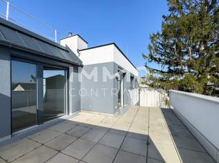 3 Terrassen mit Panormablick bei der Alten Donau, 539000 €, Immobilien-Wohnungen in 1220 Donaustadt