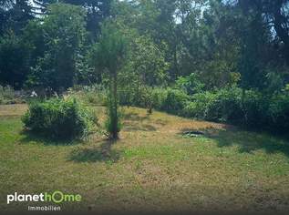 Zwei Kleingartengrundstücke in Hainburg an der Donau, 195000 €, Immobilien-Grund und Boden in 2410 Gemeinde Hainburg an der Donau Zwei Kleingartengrundstücke in Hainburg an der Donau, 195000 €, Immobilien-Grund und Boden in 2410 Gemeinde Hainburg an der Donau