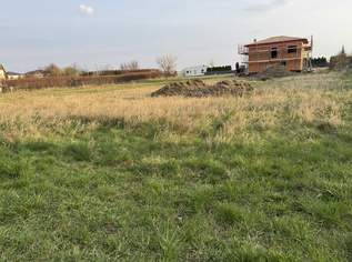 "Bauen - Leben - Ankommen", 75000 €, Immobilien-Grund und Boden in 3484 Feuersbrunn