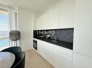 Innenstadt und Donau Blick: 32. Etage - DC2 Tower U1 Donauinsel, 3100 €, Immobilien-Wohnungen in 1220 Donaustadt