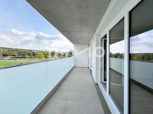 50,15qm geförderte 2ZI- Balkon-Wohnung, zzgl. Tiefgaragenstellplatz, 182513.38 €, Immobilien-Wohnungen in 3500 Am Steindl